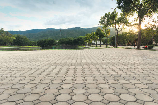 Best Interlocking Driveway Pavers  in Lauderdale By The Sea, FL